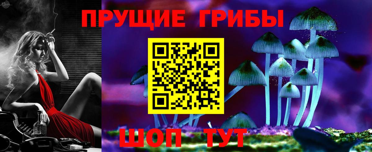 купить  цена  Галлюциногенные грибы Psilocybine cubensis  Вход с VPN  Большой Камень 