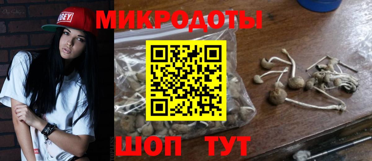 Псилоцибиновые грибы мицелий Большой Камень